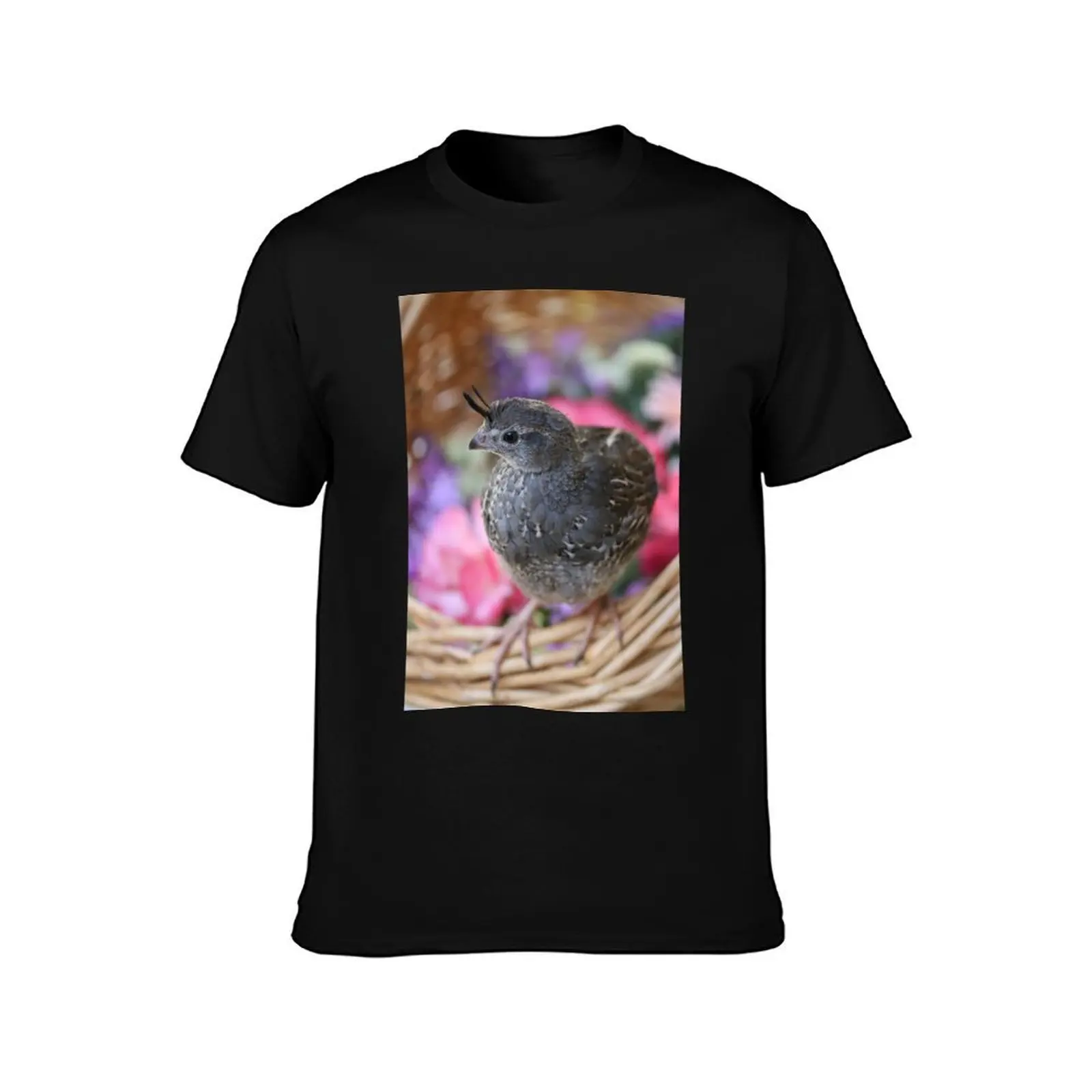 Pezi the Quail, Spring Basket T-Shirt, Summer Casual Cotton Tee, Oversized Streetwear Tops, Vintage Graphic Print, 100% Cotton