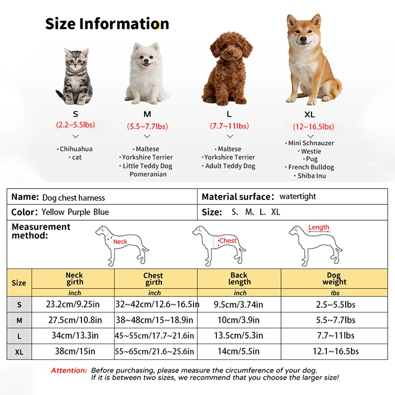New Cute Printed Pet Dog Harness and Leash Set, Suitable for Puppies, Cats, and Small to Medium Pets, Puppy Harness
