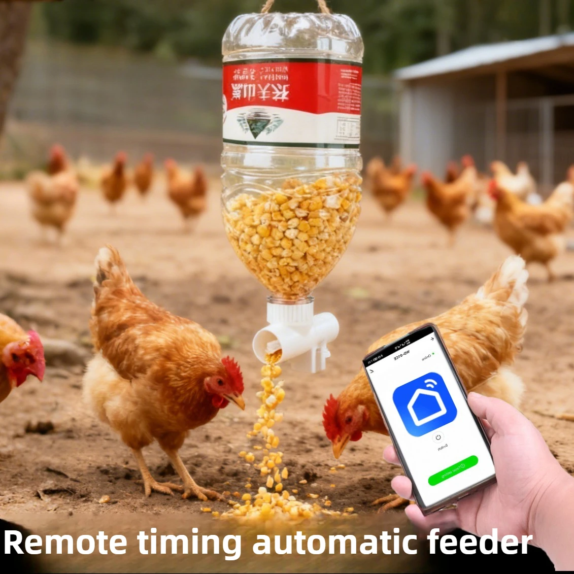 #26 Compare Automatic Fish Feeders Before You Buy