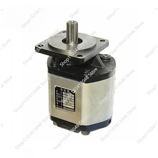 

Hydraulic Gear Pump CBD-F100 CBD-F80 CBD-F63 CBD-F50 For SINOTRUK