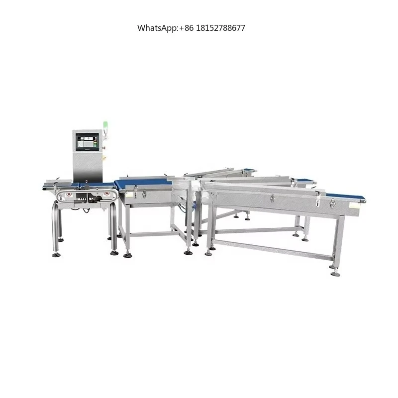Automatic Multi-Level Fruit Vegetable Weight Sorter Food Fillet Conveyor Belt Weight Sorting Grading Machine Price