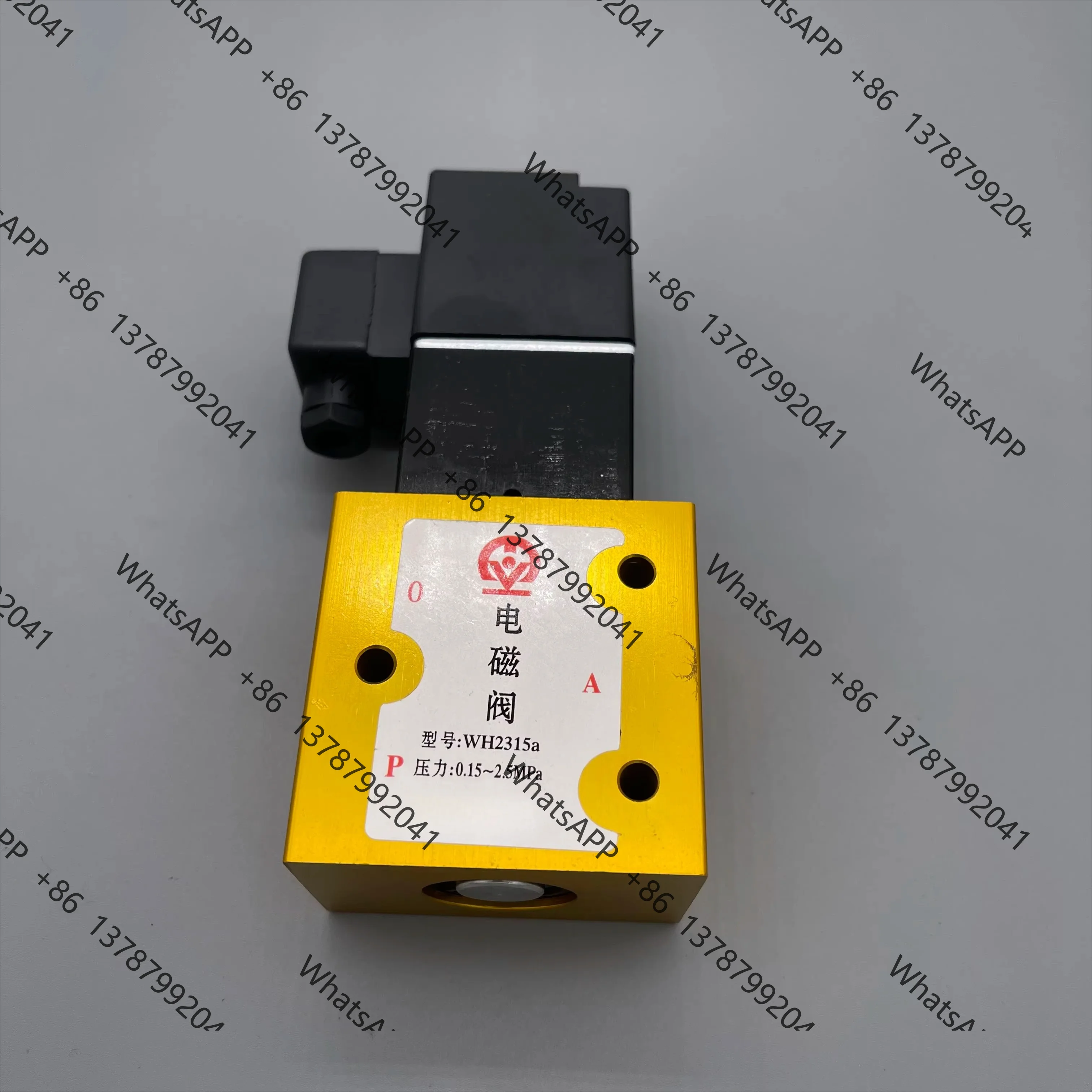 High-Pressure Two-Way Blowing Machine Solenoid Valve WT2310 WH2315a WTH2315a AC220V