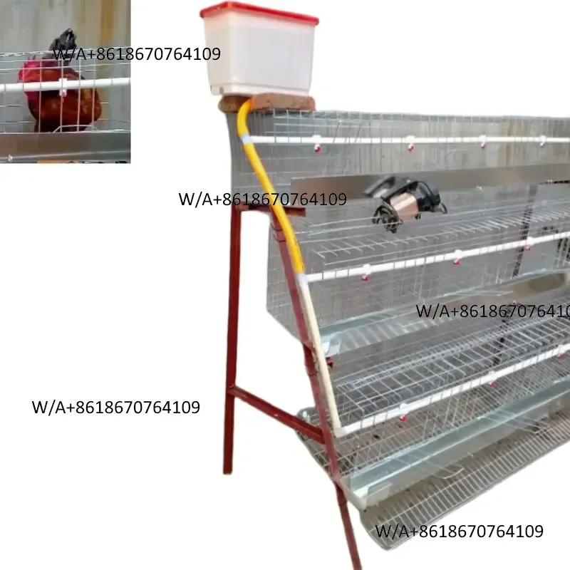 Fully automated poultry brooding cage system for farm chicken equipment, easy to maintain