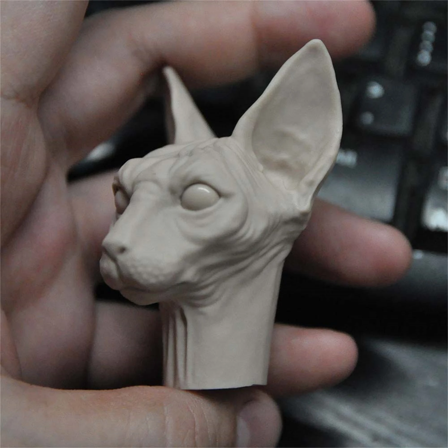 1/6 Scale Unpainted Sphynx Hairles Cat Head Sculpt Model DIY Animal Action Figure Legion