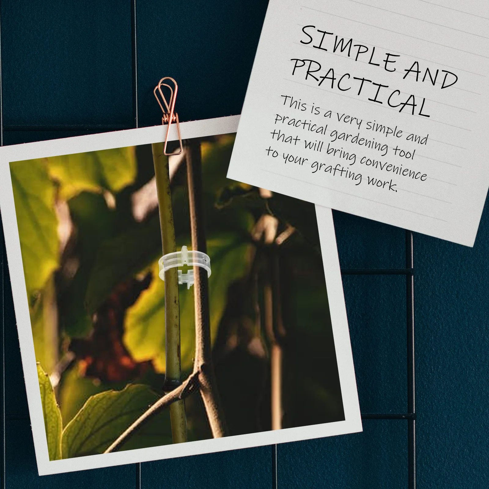 

200 шт. зажимы для растений для виноградной лозы, пластиковые зажимы для сада премиум-класса, инструмент для выпрямления стеблей, фиксированные зажимы для растений, садоводства