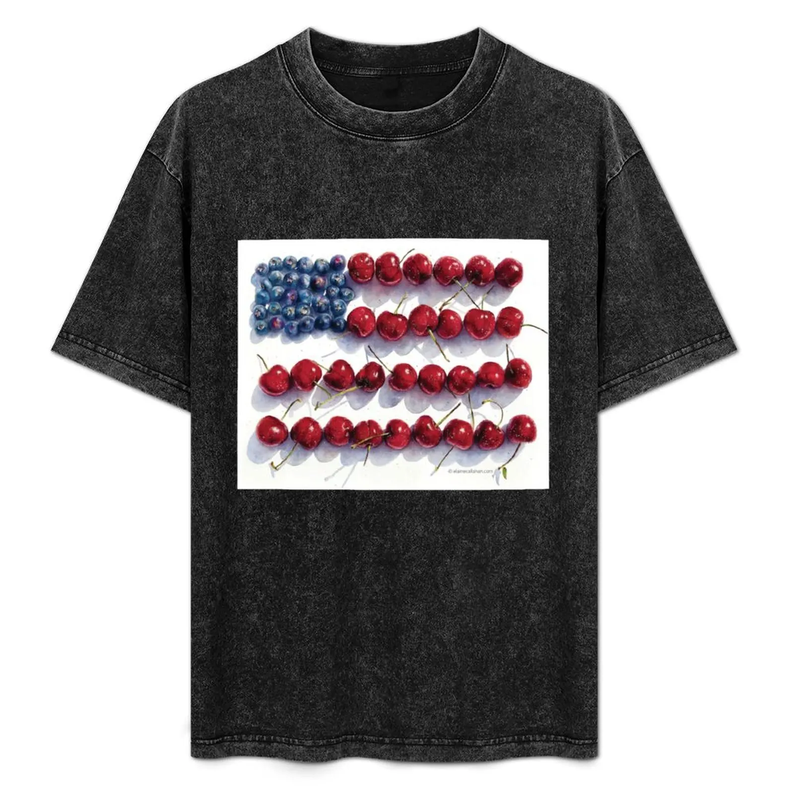 

America the Fruitiful T-Shirt tees customizeds t shirts for men pack