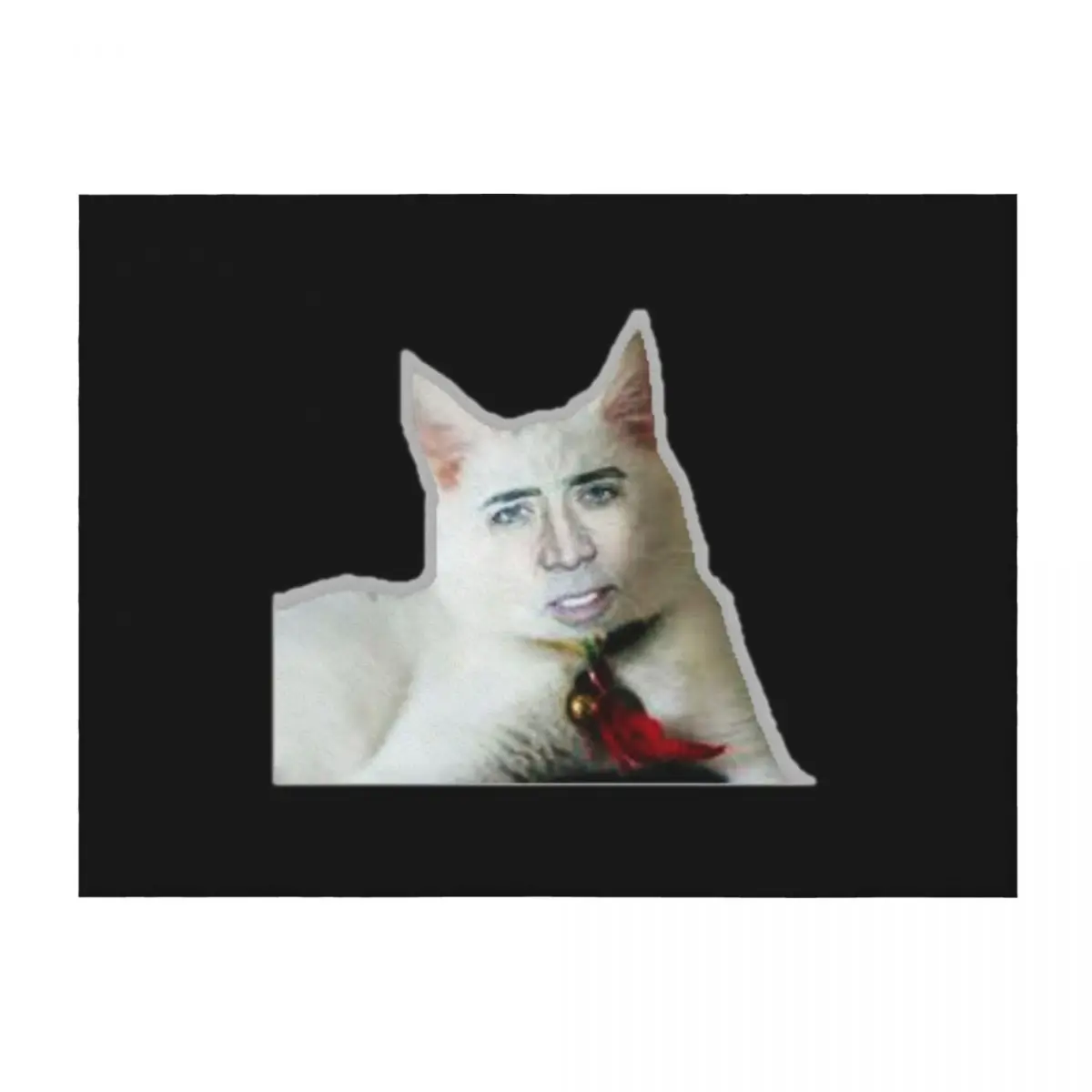Nicolas Cage as Cat - Nicholas Cage - Nick Cage - Nic Throw Blanket Bed decorative Plaid on the sofa Blankets