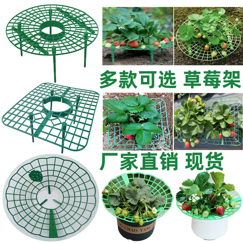 Morango Crescendo Racks Suporte Suporte, Morango Quadro Titular, Escalada Pilar, Protetor, Videira, 1 Pc, 5Pcs