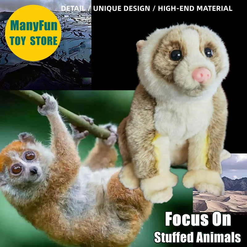 Slow Loris Plüschtier, lebensechtes Loris Stofftier, realistischer Nycticebus, Plüschtier, Affe, Simulationspuppe, Geschenk, Sammler
