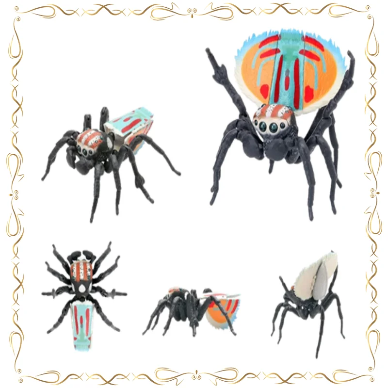 【SALE】Maratus Volans Gashapon Bionic Araneae Insects Series Action Figure Decoration Ornament Collectible Toy