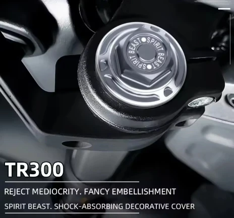 

Suitable for Haojue TR300 shock absorber screw modified motorcycle accessories front fork nut shock absorber screw cover