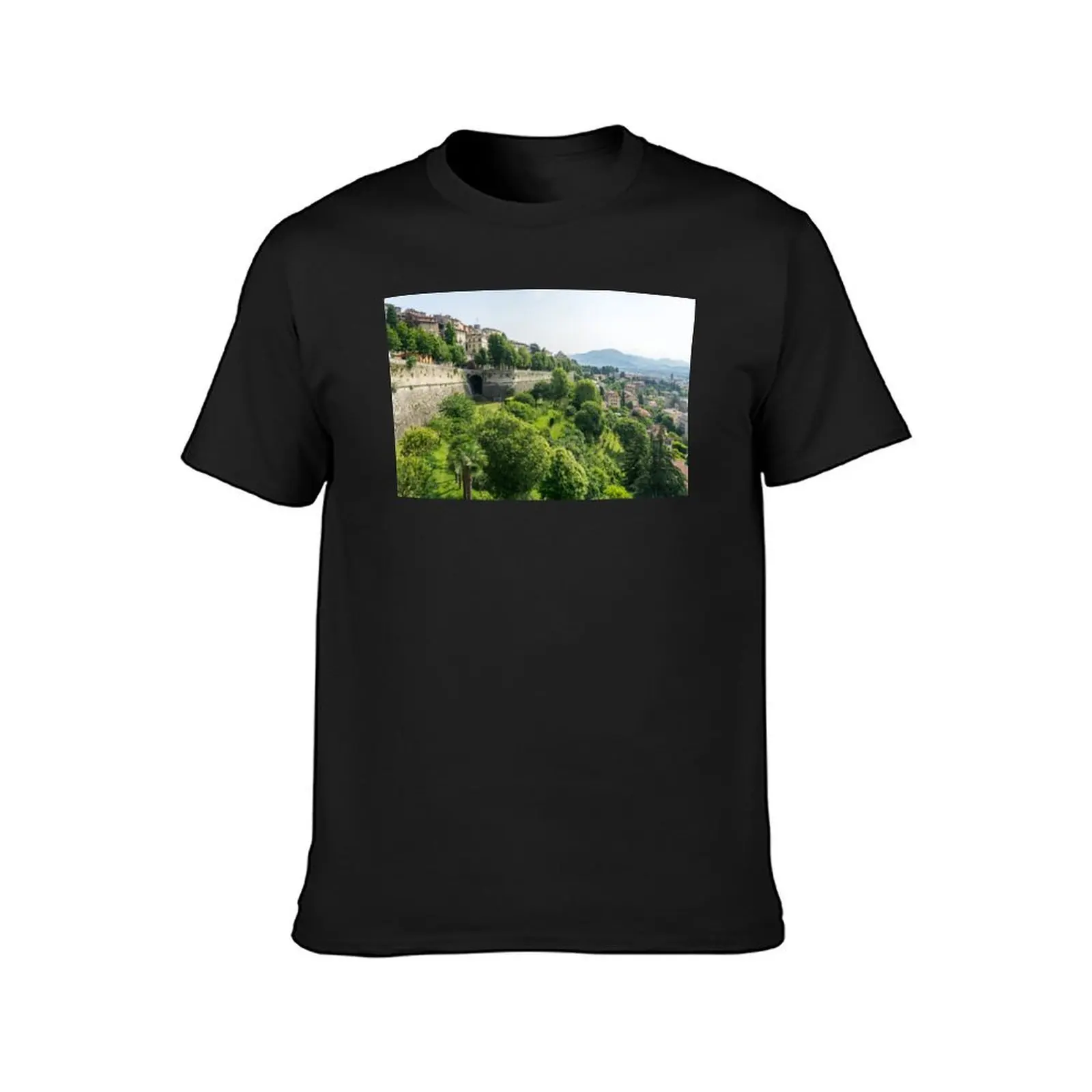 Splendid Bergamo Vista - Venetian Defense Walls and Lush Green Park T-Shirt boys animal print for a boy mens tall t shirts