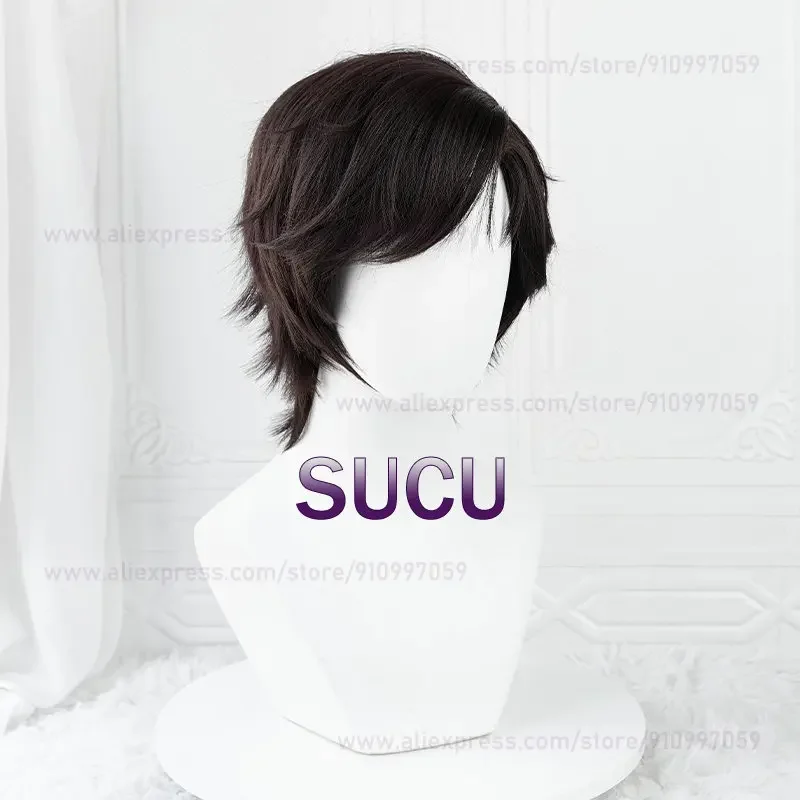 Game Evan Cosplay Wig 33cm Short Anime Wigs Heat Resistance Synthetic Hair Halloween Party Accessories