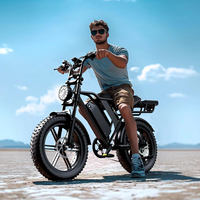 SXLL Fatbike V20 Electric Bike 750w V20 Fatbike 20 Inch Fat Tire Electric Bike Cheap Electric Bike Ebike Takeaway