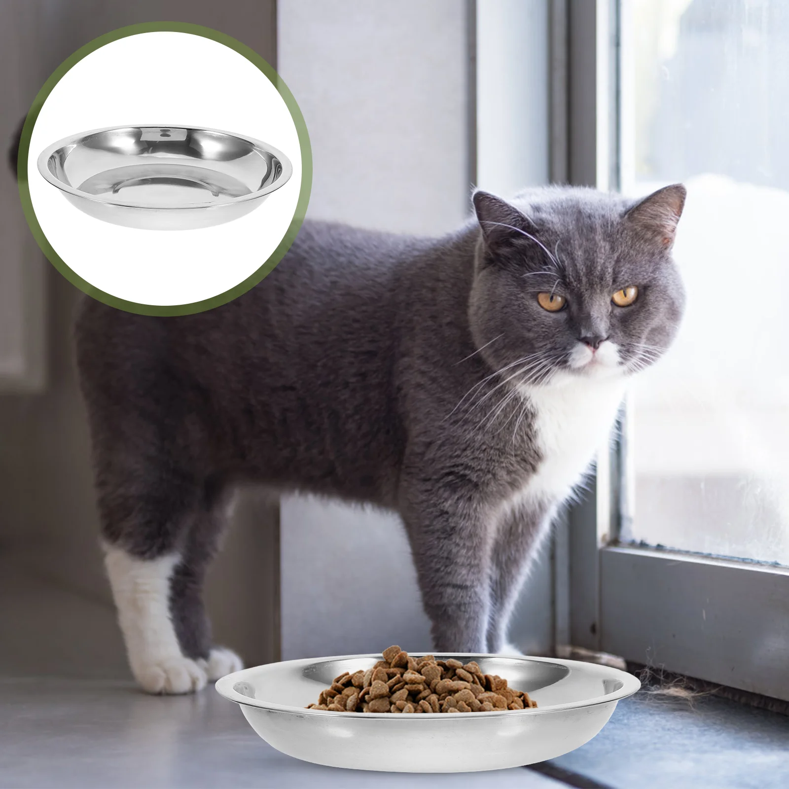 

4 Pcs Pet Stainless Steel Cat Bowl Food Bowls for Indoor Cats Feeding Tray Dog Sturdy Travel