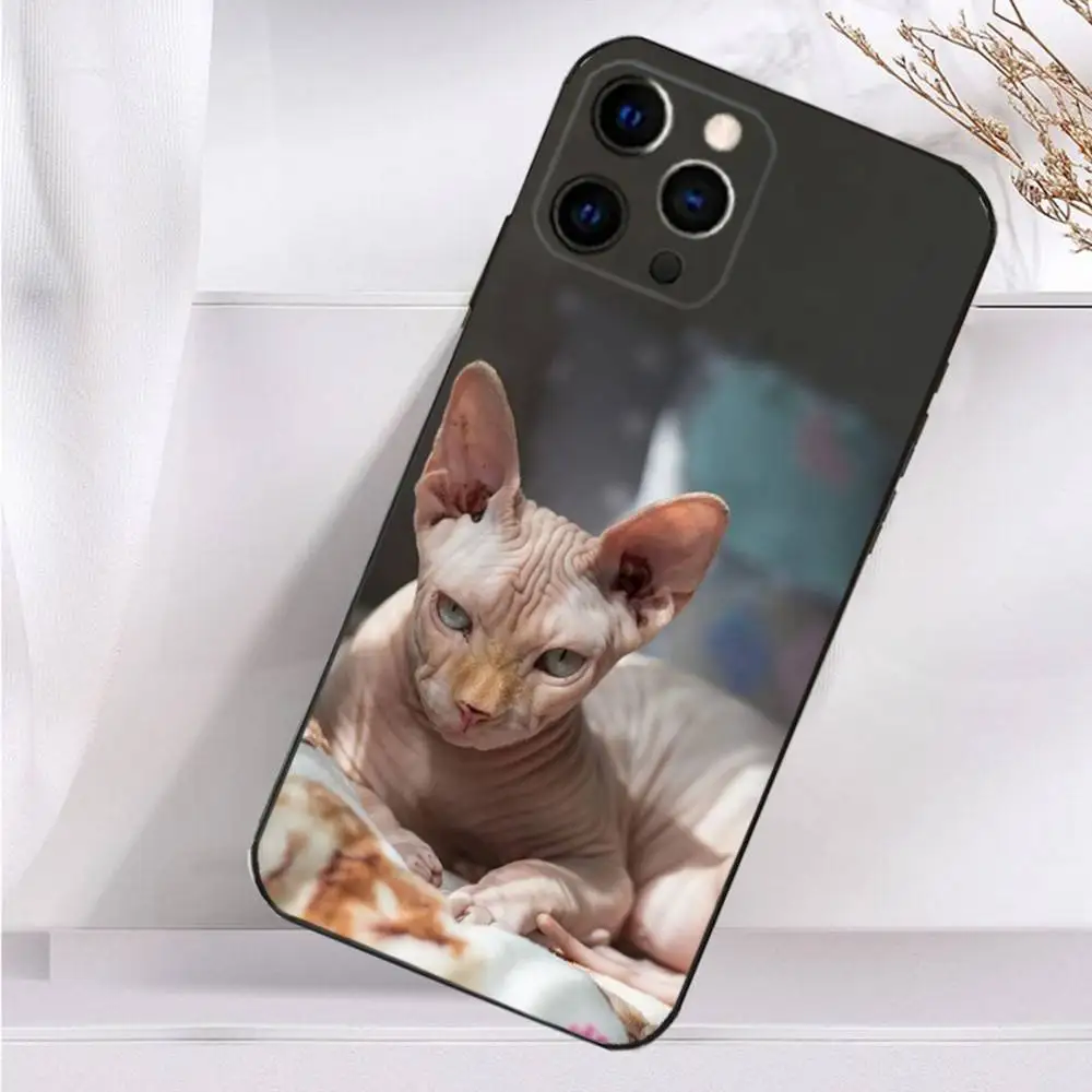 สัตว์เลี้ยงแมวSphynx Sphinxเคสโทรศัพท์สําหรับiPhone 16,15,14,13,12,11 Plus,Pro Max,XS,X,XR,SE,Mini,8,7 ซิลิโคนนุ่มปกสีดํา