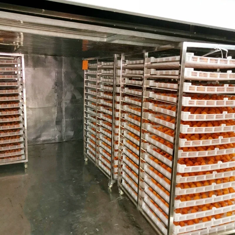 Drying equipment Fruit dryer High temperature large preserved fruit persimmon drying oven Air energy heat pump dryer