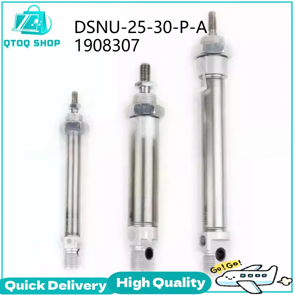 

DSNU 16-20-25-30-32-40-50-63-PPV-P-A Pneumatic Cylinder