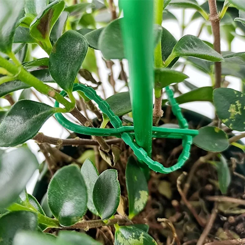 Reusable Plastic Zip Loop Wire Wrap, Self-locking  Tie, Adjustable  Plant Cable  Garden   50Pcs/Set