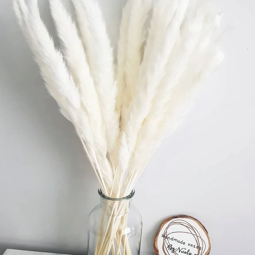 Natural Pampas Grass Fluffy Small Reeds Flowers Bouquet Boho Living Room Decoration Bunny Tail Grass Dried Flowers for Wedding