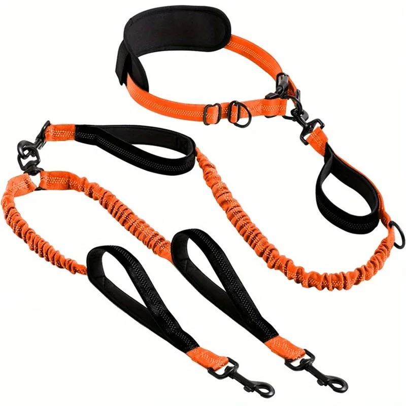 leash for 2 dogs
