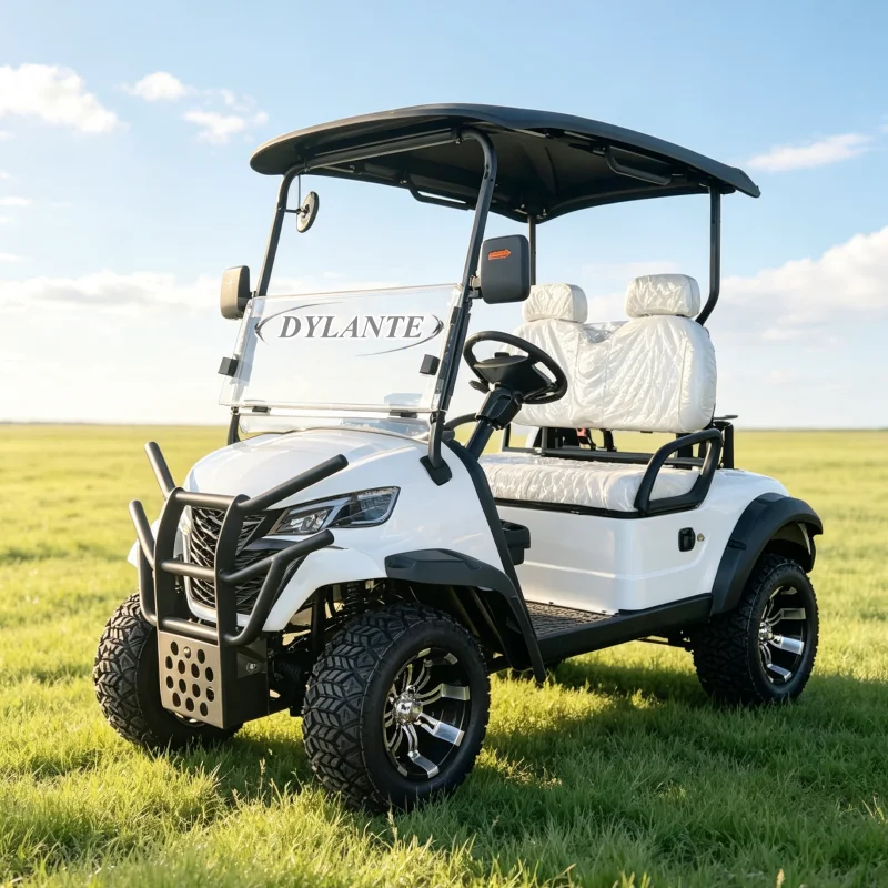 CE 2 Passenger Lightweight Electric Golf Car Solar Panel Optional Lithium Golf Buggy Factory Direct for Mini Golf Course