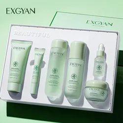 Centella Asiatica Polypeptide Skin Care Set Aloe Moisturizing Oil-controlling Face Serum Cream Lotion Set Ascorbic Acid Essence