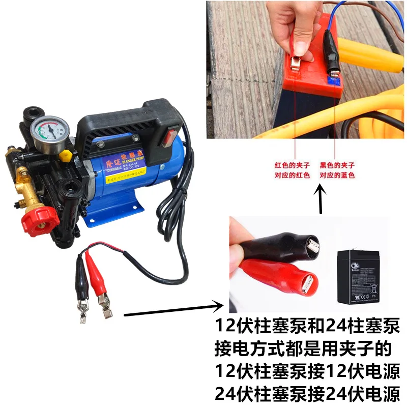 Portable Longmai Plunger Pump 12V24V48V60V220V Electric Sprayer Double-cylinder High-pressure Fruit Tree Medicine Pump