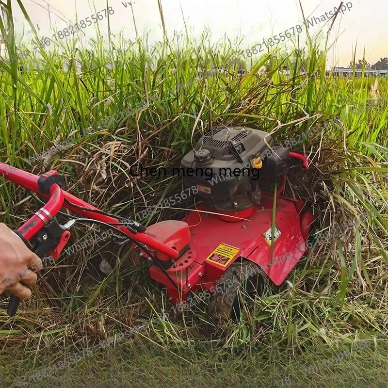 

A172 Gas Powered Brush Cutter, Self-Propelled Weeding Machine for Orchard Land Clearing with Mulching