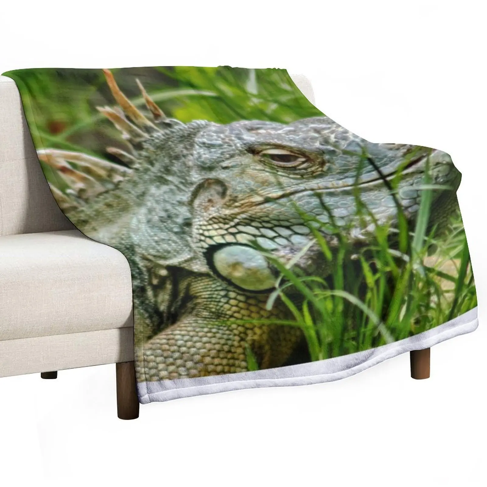 

Iggy the Iguana Throw Blanket Multi-Purpose blankets ands Winter beds wednesday Blankets