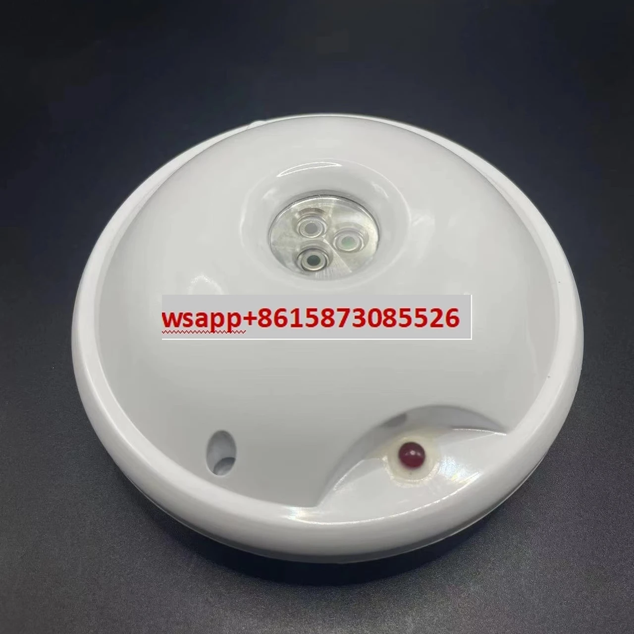 Marine Photosensiti…