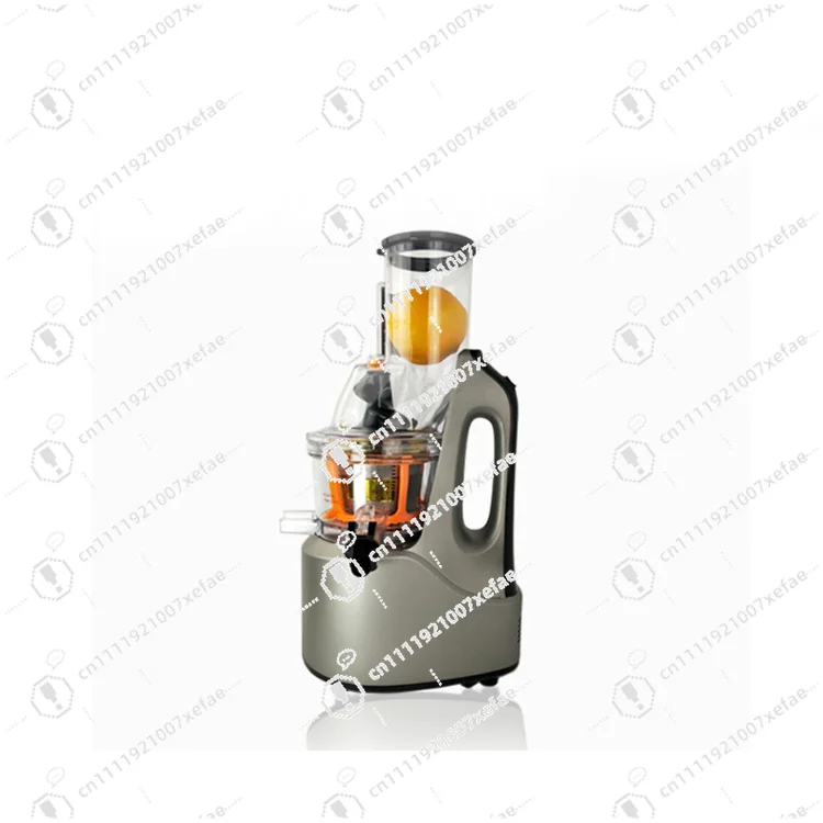 

Slow Chew Juicer Electric Healthy Cold Press Juicer for Fruits Vegetables