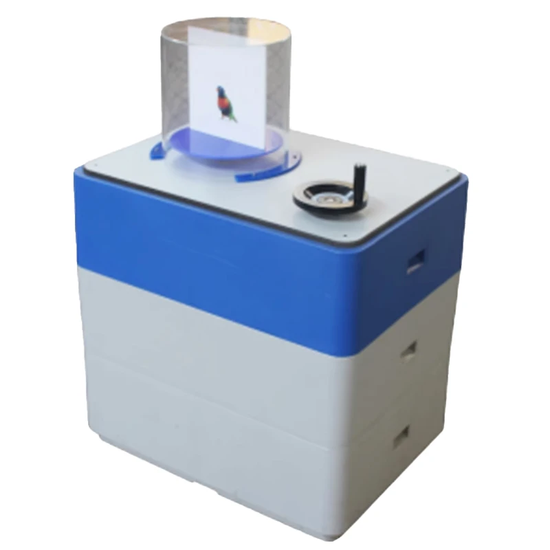 Jaula para pájaros, juego interactivo, accesorios de actividades, exposición científica, juegos científicos, juegos interactivos científicos