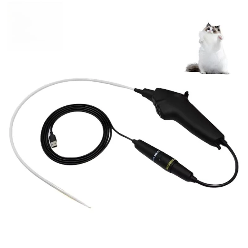 HC-R028F Medical Video Endoscope Endoscope Machine, Gastroscope, Colonoscope, Veterinary Endoscope