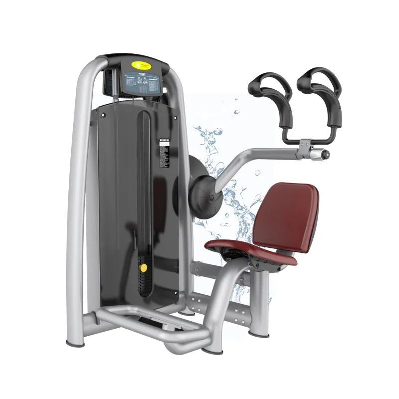 Back Stretch Abdominal Machine Power Machine 100kg Weight Stacked Steel Structure Commercial Core Muscle Trainer