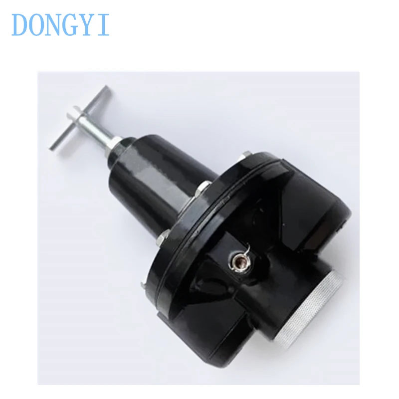 High Flow Pressure Regulator 20AG 20AG-X8G-PH100 20AG-8G-PH100