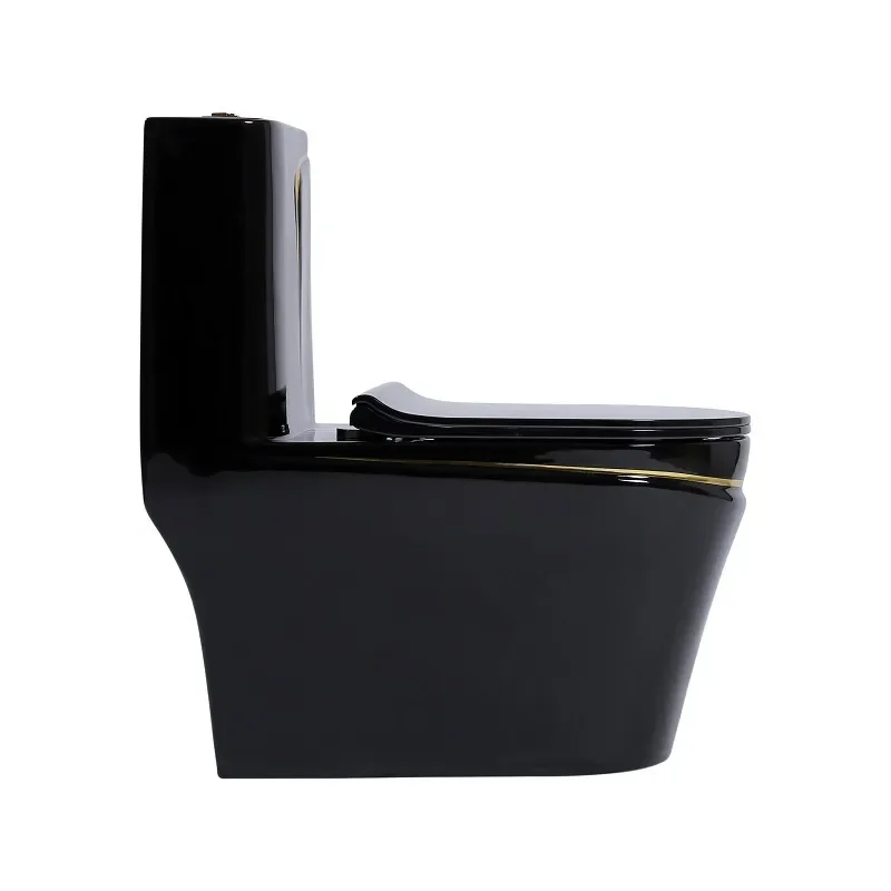 Modern Black One Piece Ceramic Toilet Siphon Jet Flush Water Saving Bathroom Sanitary Ware Straight Drainage Floor Mounted