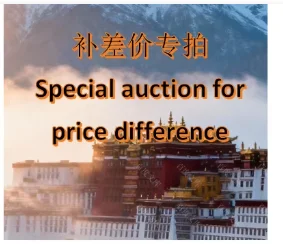 Exclusive link for paying the price difference