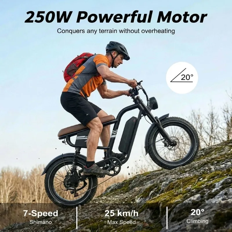 Custom 48V 250W Brushless Motor 20x4.0 Fat Tires Double Shoulder Fork Hydraulic Cruiser Bike