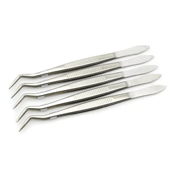 Pinça dental de aço inoxidável, Pinça curva serrilhada cirúrgica, Pinças Forcep, Oral Care, Dentist Lab Instrument Tools, 16cm, 5Pcs