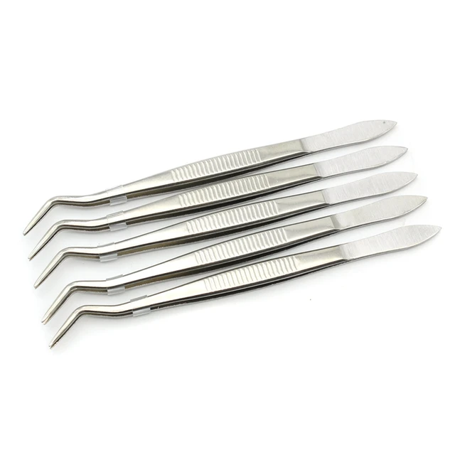 5 sztuk 16cm pęseta dentystyczna ze stali nierdzewnej chirurgiczna ząbkowana zakrzywiona pęseta szczypce kleszcze pielęgnacja jamy ustnej dentysta laboratorium instrument narzędzia