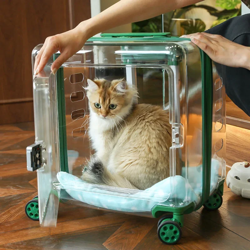 

Large capacity pet suitcase transparent cat bag carrier portable pet dog strollers air box outside outdoors wholesale