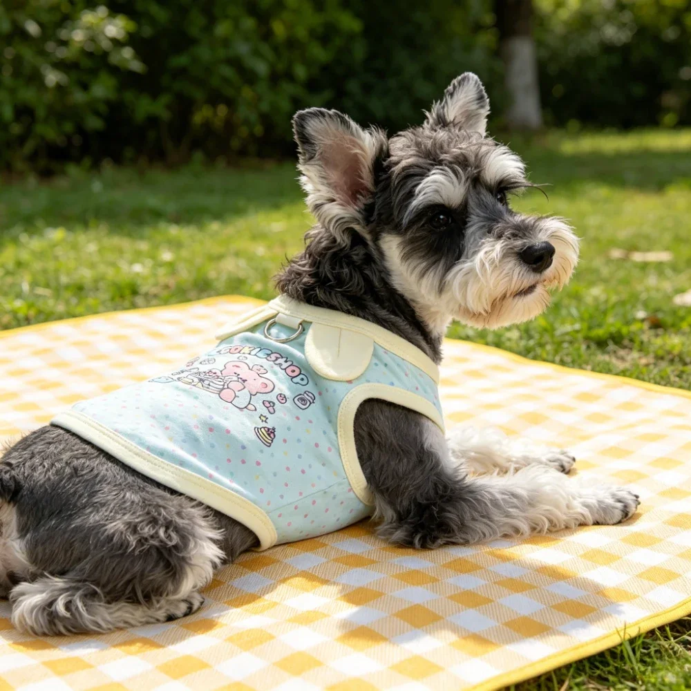 Spring and summer clothes thin, cute cartoon print, stylish macaron color , small and short compared to Xiong Bomei