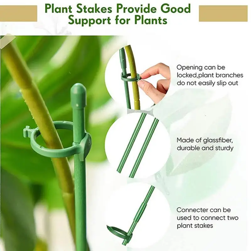 Indoor Plant Stakes Support Potted Plants Stable Plant Support Climbing Vine Decorative Flower Clips House Plant For Home Garden