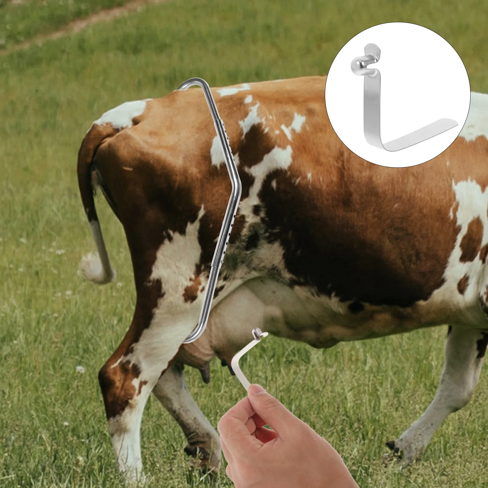 Strumento per la prevenzione dei patatine di mucca da 10 pezzi Clip a molla anti-calcio con design a pulsante per mungitura e movimentazione sicura Molla a pulsante