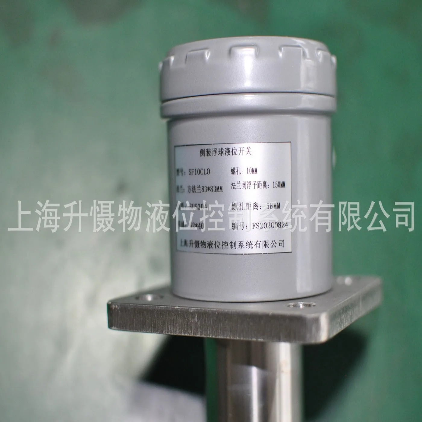 SUS304 Stainless Steel Side Mounted Float Level Switch Blue Connection Water Level Gauge for Reliable Liquid Level Detection