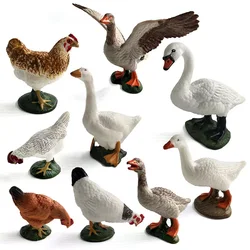 Simulation Swan Chicken Hens Duck Goose Geese Farm Animal Model Figurines Toy Miniature Garden Home Decor Decoration Accessories