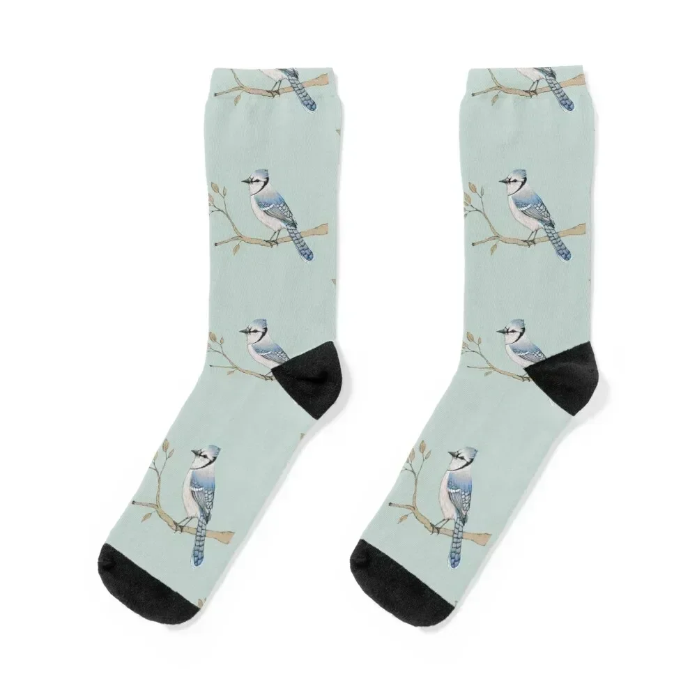 Blue Jay Socks Gift… - image