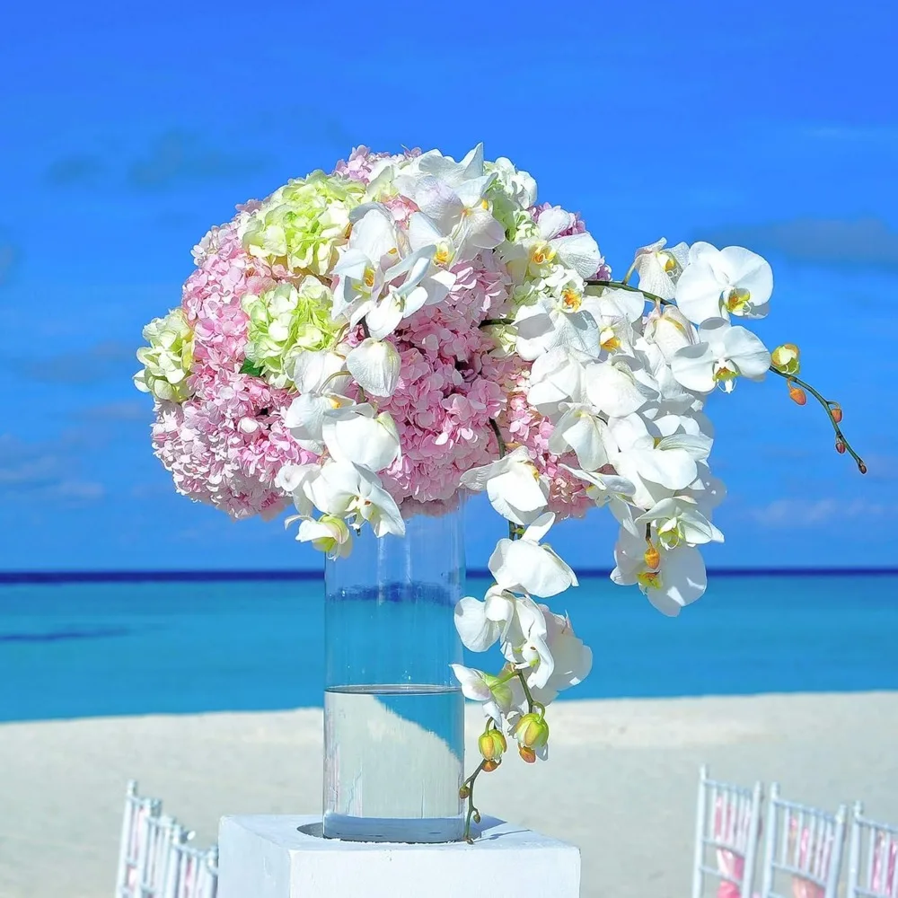 Clear Large Diameter Glass Cylinder Vase, Bulk Floral Container, Wide Planter Terrarium for Home Decor and Garden Use