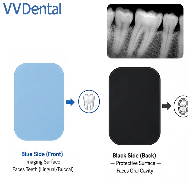 Size 0 1 2 3 Dental Phosphor Imaging Plate PSP Plate Digital X-Ray Film for Intraoral Scanner High Contrast Phosphor Plate